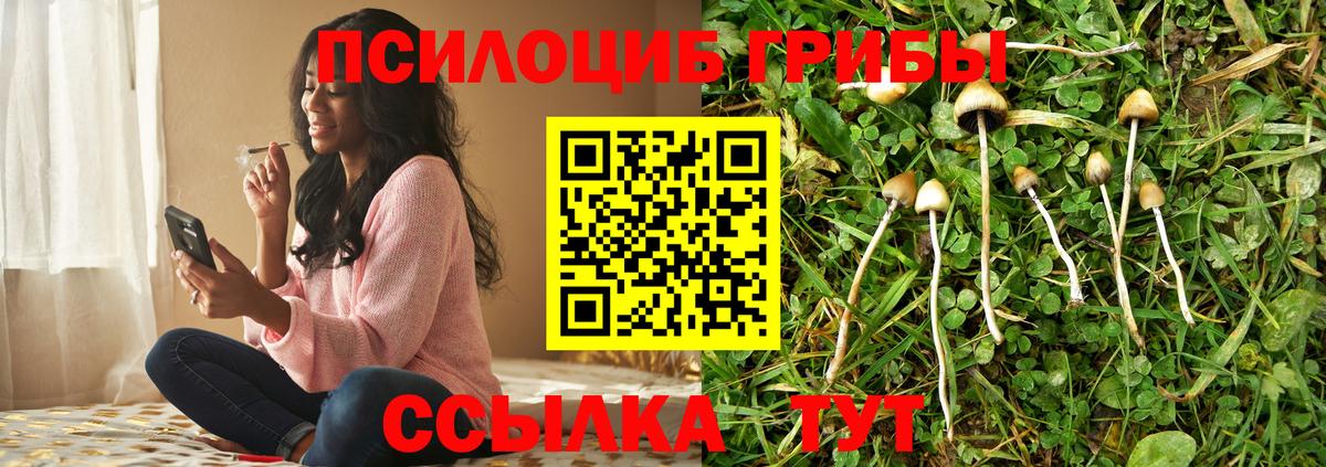 Анапа  Псилоцибиновые грибы Psilocybe  Вход с VPN  Псилоцибиновые грибы мицелий 