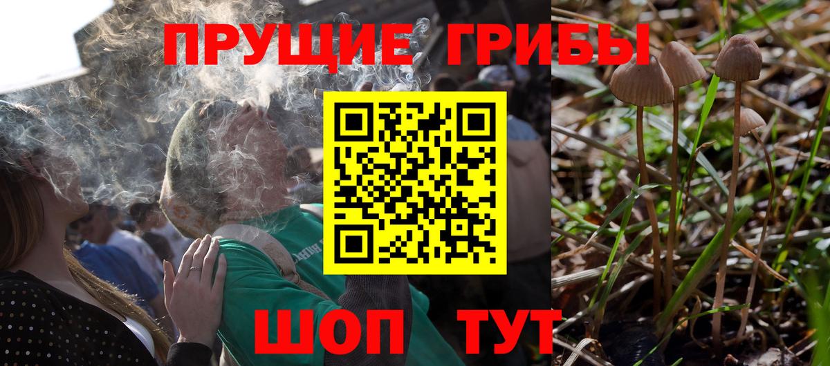 Псилоцибиновые грибы Magic Shrooms Анапа